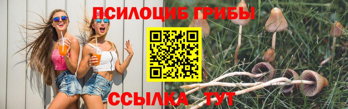 Псилоцибиновые грибы ЛСД  Вход с VPN  Ипатово 