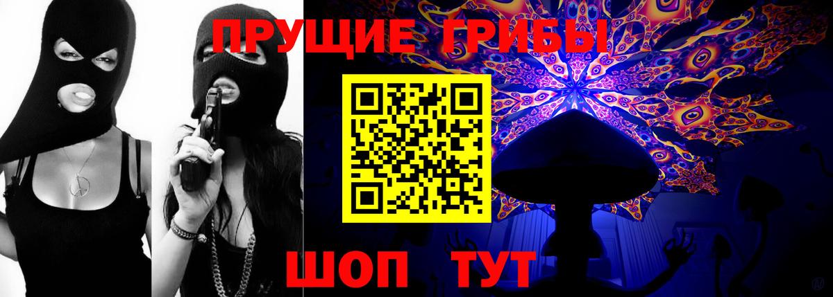 Галлюциногенные грибы Psilocybine cubensis Ипатово